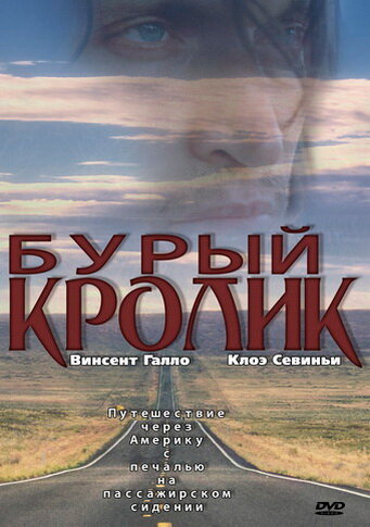  Бурый кролик 